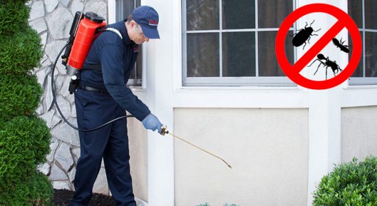 Balıkesir Dezenfeksiyon böcek ilaçlama ve haşere kontrolü — ilaclama-tr.com